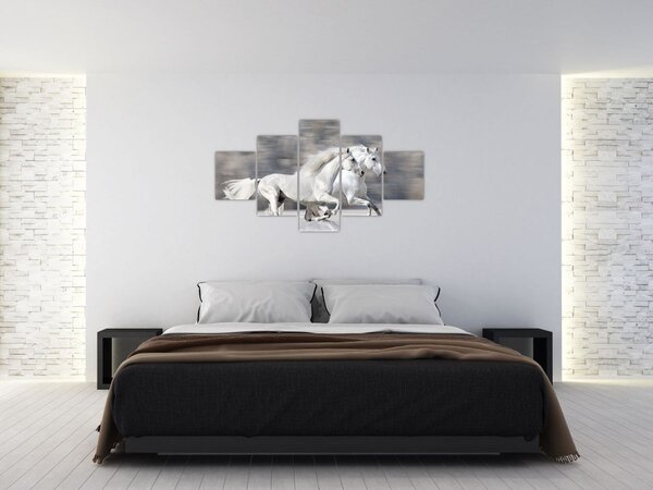Obraz - Bílí koně v zimě (125x70 cm)