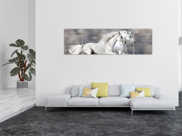 Obraz - Bílí koně v zimě (170x50 cm)