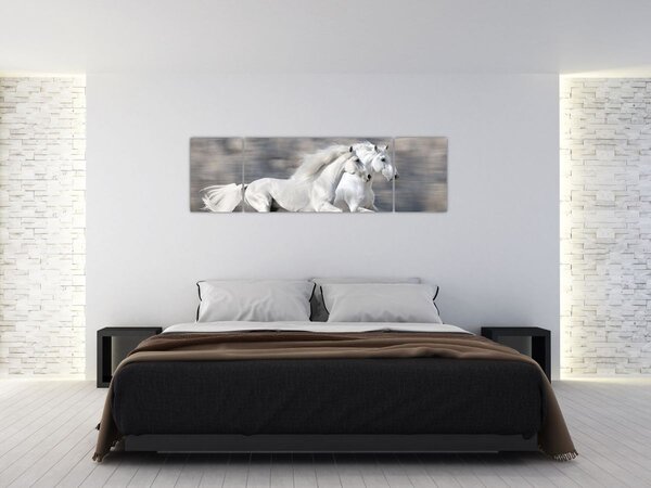 Obraz - Bílí koně v zimě (170x50 cm)