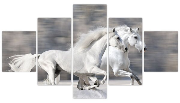 Obraz - Bílí koně v zimě (125x70 cm)