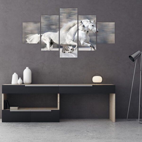 Obraz - Bílí koně v zimě (125x70 cm)