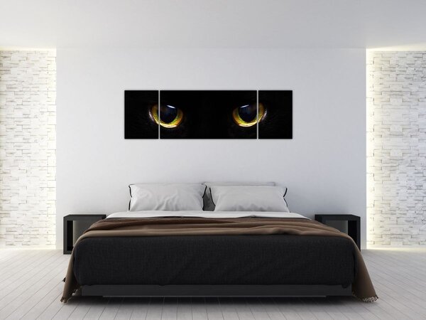 Obraz - Kočičí oči (170x50 cm)