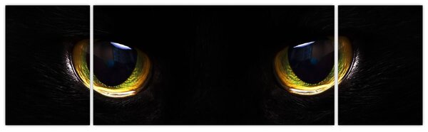 Obraz - Kočičí oči (170x50 cm)