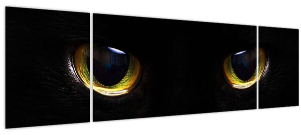 Obraz - Kočičí oči (170x50 cm)