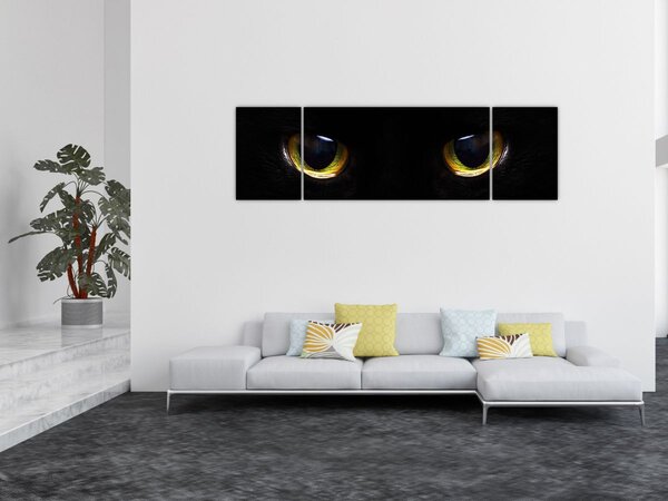Obraz - Kočičí oči (170x50 cm)
