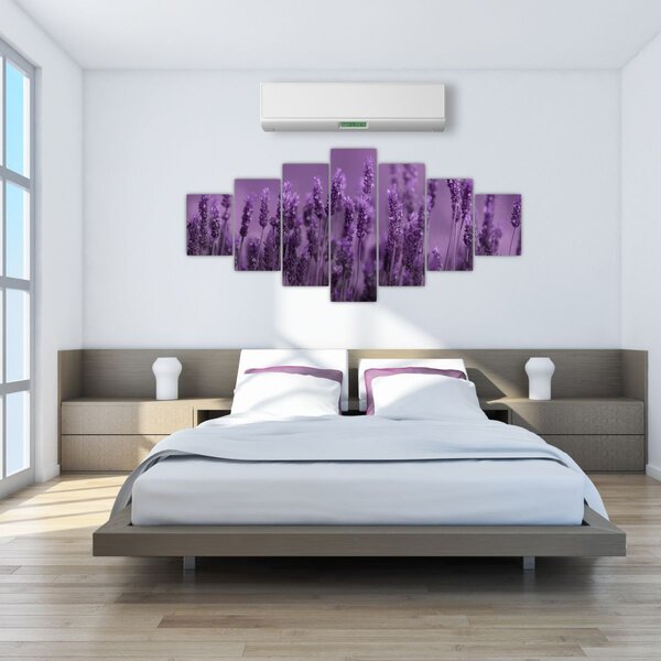 Obraz - Levandule (210x100 cm)