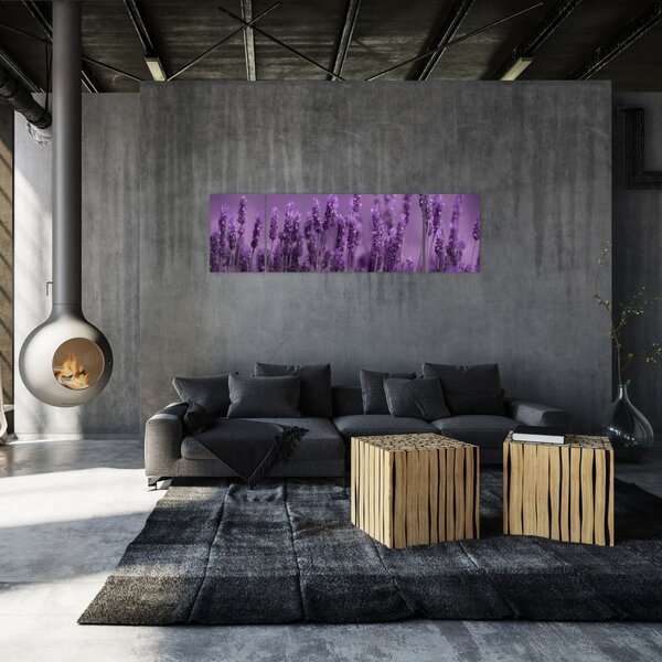 Obraz - Levandule (170x50 cm)