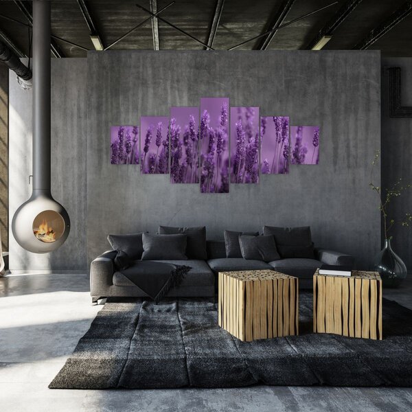 Obraz - Levandule (210x100 cm)