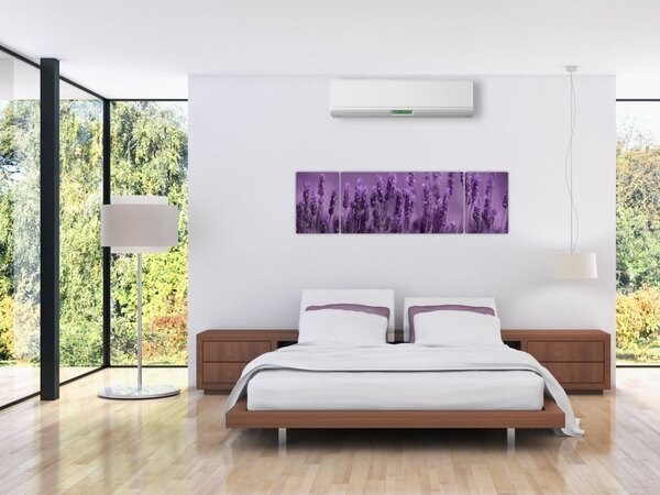 Obraz - Levandule (170x50 cm)