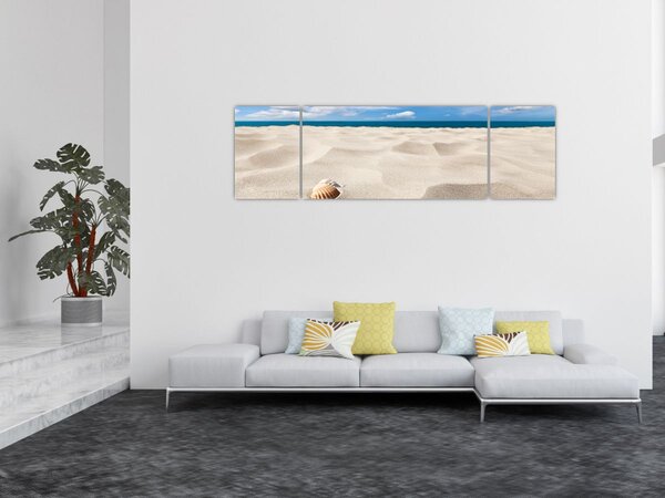 Obraz - Mušle na pláži (170x50 cm)