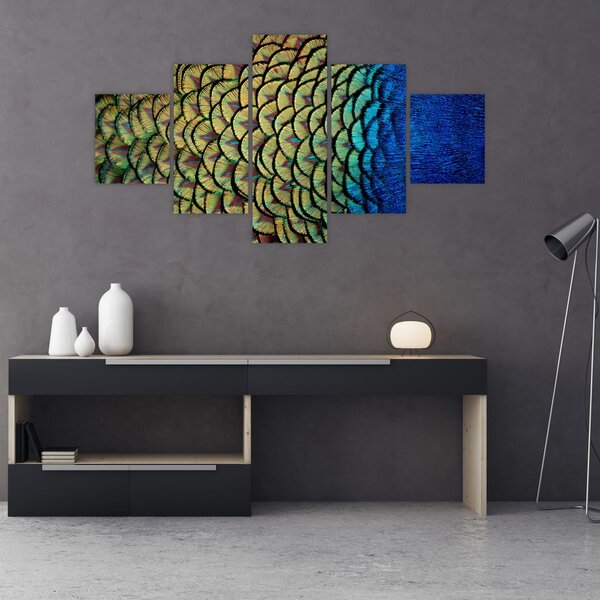 Obraz - Páví peří (125x70 cm)