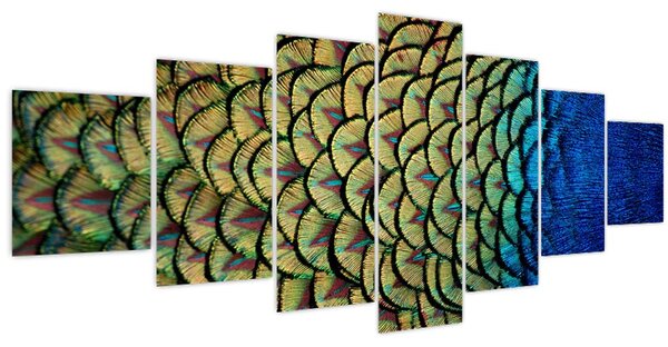 Obraz - Páví peří (210x100 cm)