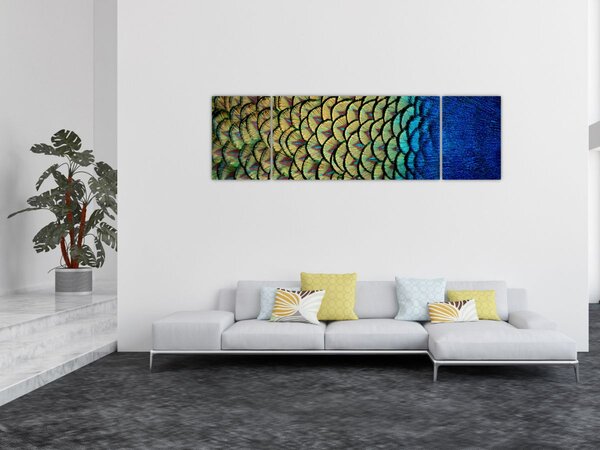 Obraz - Páví peří (170x50 cm)