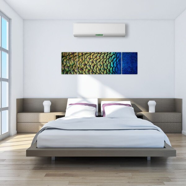 Obraz - Páví peří (170x50 cm)