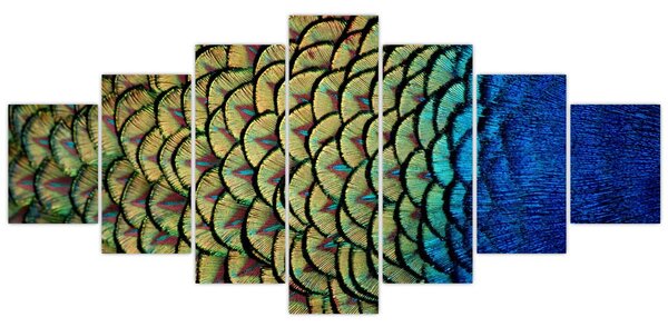 Obraz - Páví peří (210x100 cm)