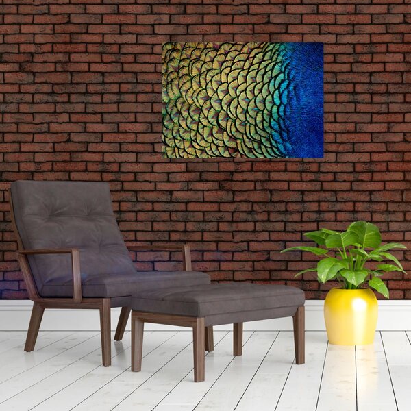 Obraz - Páví peří (70x50 cm)