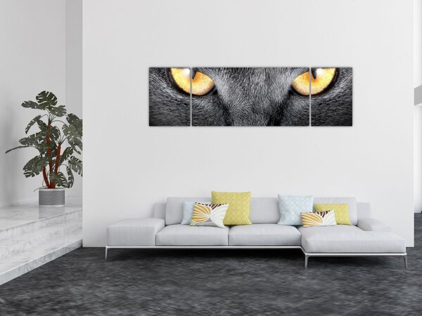 Obraz - Blízký portrét kočky (170x50 cm)