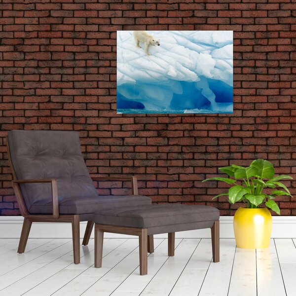 Obraz - Polární medvěd (70x50 cm)