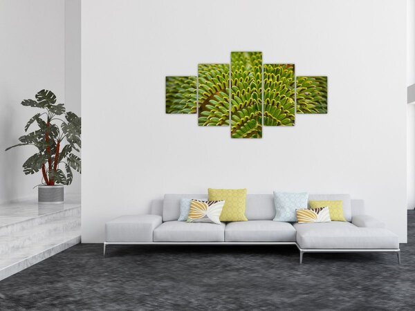 Obraz - Kapradina (125x70 cm)