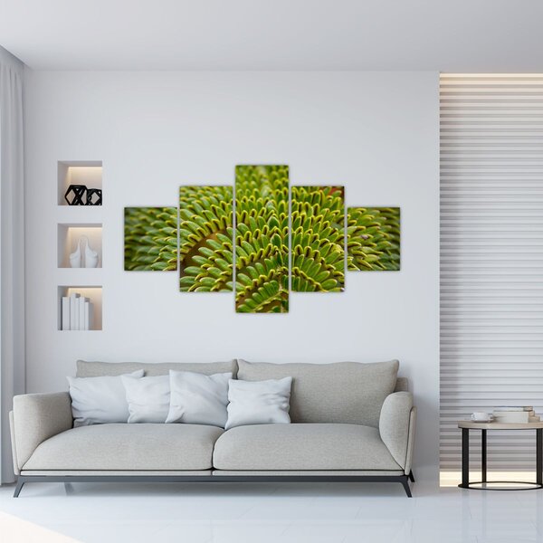 Obraz - Kapradina (125x70 cm)