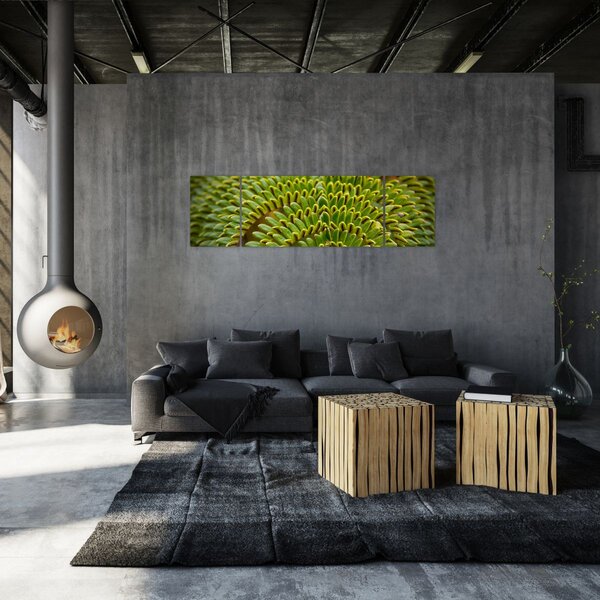Obraz - Kapradina (170x50 cm)