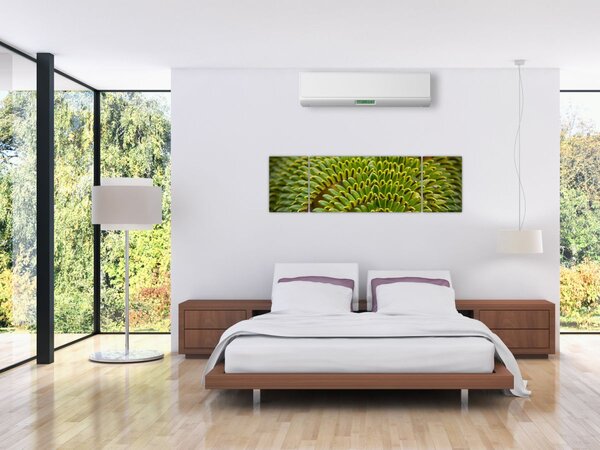 Obraz - Kapradina (170x50 cm)