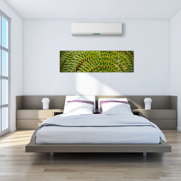 Obraz - Kapradina (170x50 cm)