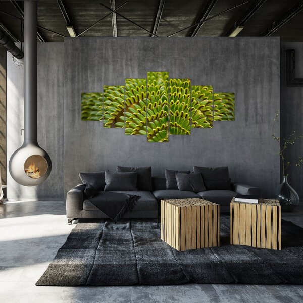 Obraz - Kapradina (210x100 cm)