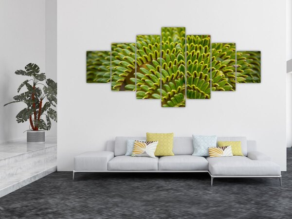 Obraz - Kapradina (210x100 cm)