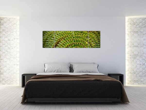 Obraz - Kapradina (170x50 cm)