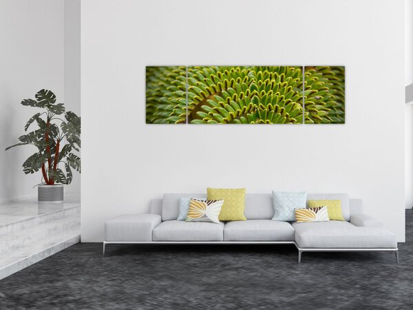 Obraz - Kapradina (170x50 cm)