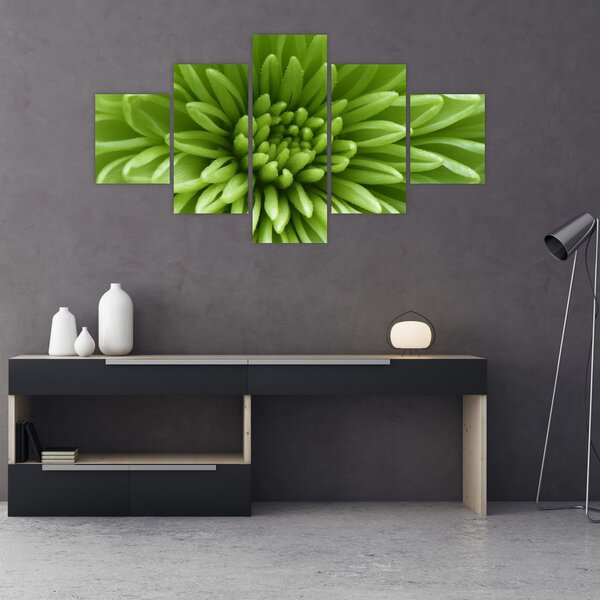 Obraz - Makro snímek rostliny (125x70 cm)