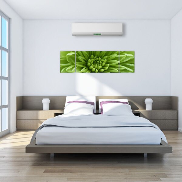 Obraz - Makro snímek rostliny (170x50 cm)