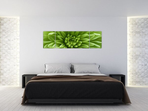 Obraz - Makro snímek rostliny (170x50 cm)