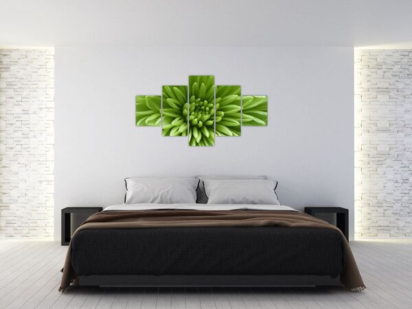 Obraz - Makro snímek rostliny (125x70 cm)