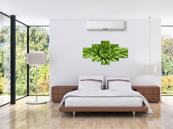 Obraz - Makro snímek rostliny (125x70 cm)