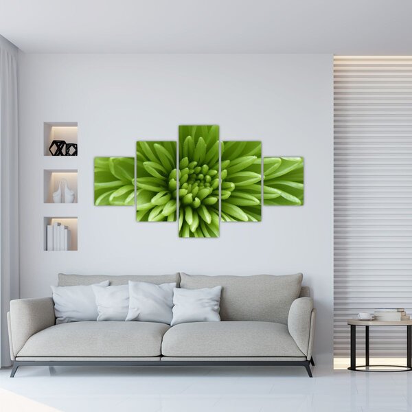 Obraz - Makro snímek rostliny (125x70 cm)