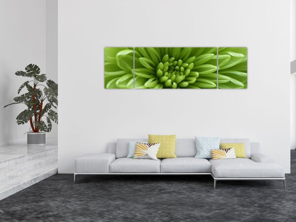 Obraz - Makro snímek rostliny (170x50 cm)