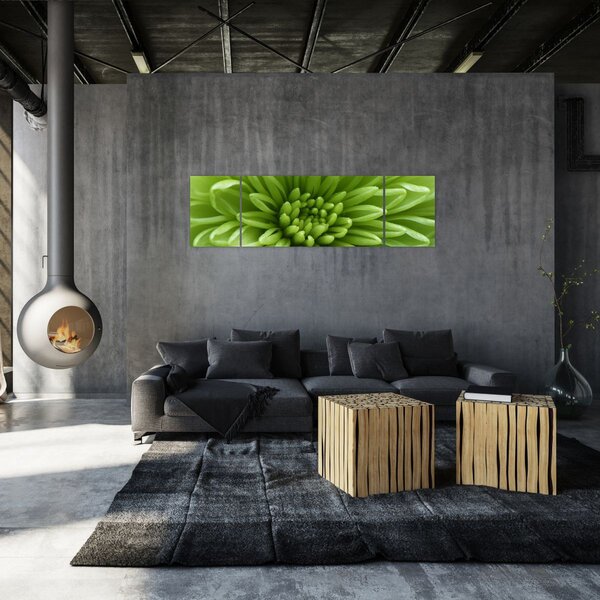 Obraz - Makro snímek rostliny (170x50 cm)
