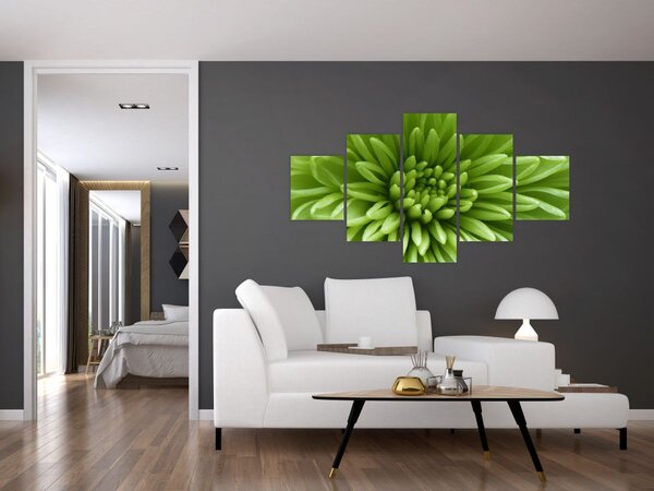 Obraz - Makro snímek rostliny (125x70 cm)