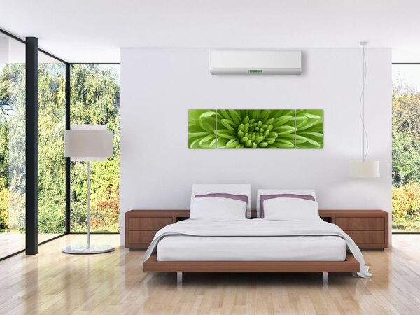 Obraz - Makro snímek rostliny (170x50 cm)
