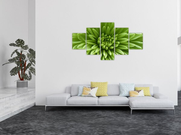 Obraz - Makro snímek rostliny (125x70 cm)