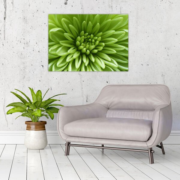 Obraz - Makro snímek rostliny (70x50 cm)