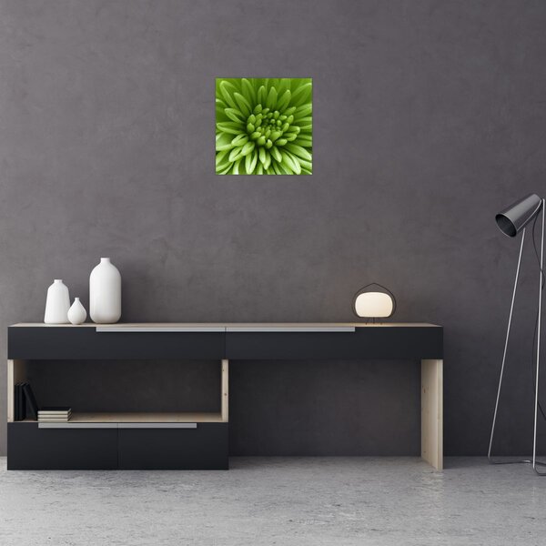 Obraz - Makro snímek rostliny (30x30 cm)
