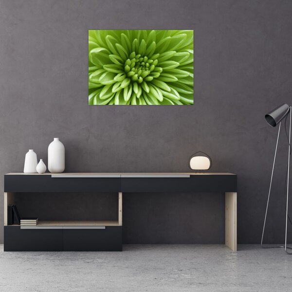 Obraz - Makro snímek rostliny (70x50 cm)