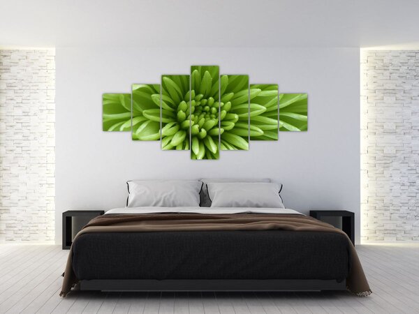Obraz - Makro snímek rostliny (210x100 cm)