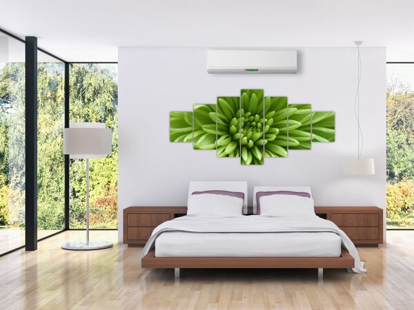 Obraz - Makro snímek rostliny (210x100 cm)