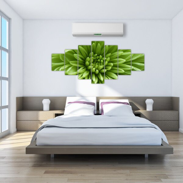 Obraz - Makro snímek rostliny (210x100 cm)