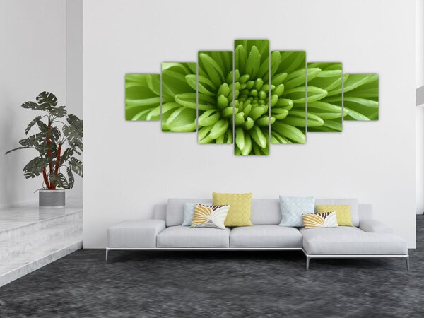 Obraz - Makro snímek rostliny (210x100 cm)