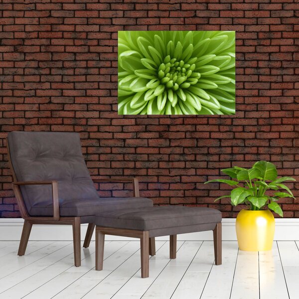 Obraz - Makro snímek rostliny (70x50 cm)